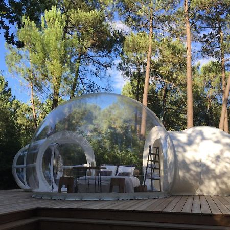 Les Bulles De Bordeaux Bed and Breakfast Salleboeuf Eksteriør billede