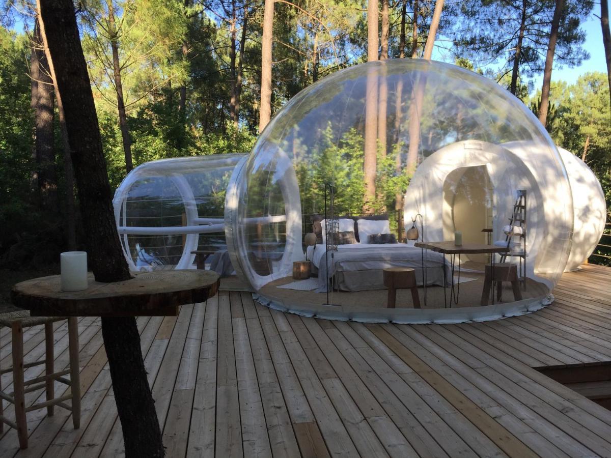Les Bulles De Bordeaux Bed and Breakfast Salleboeuf Eksteriør billede