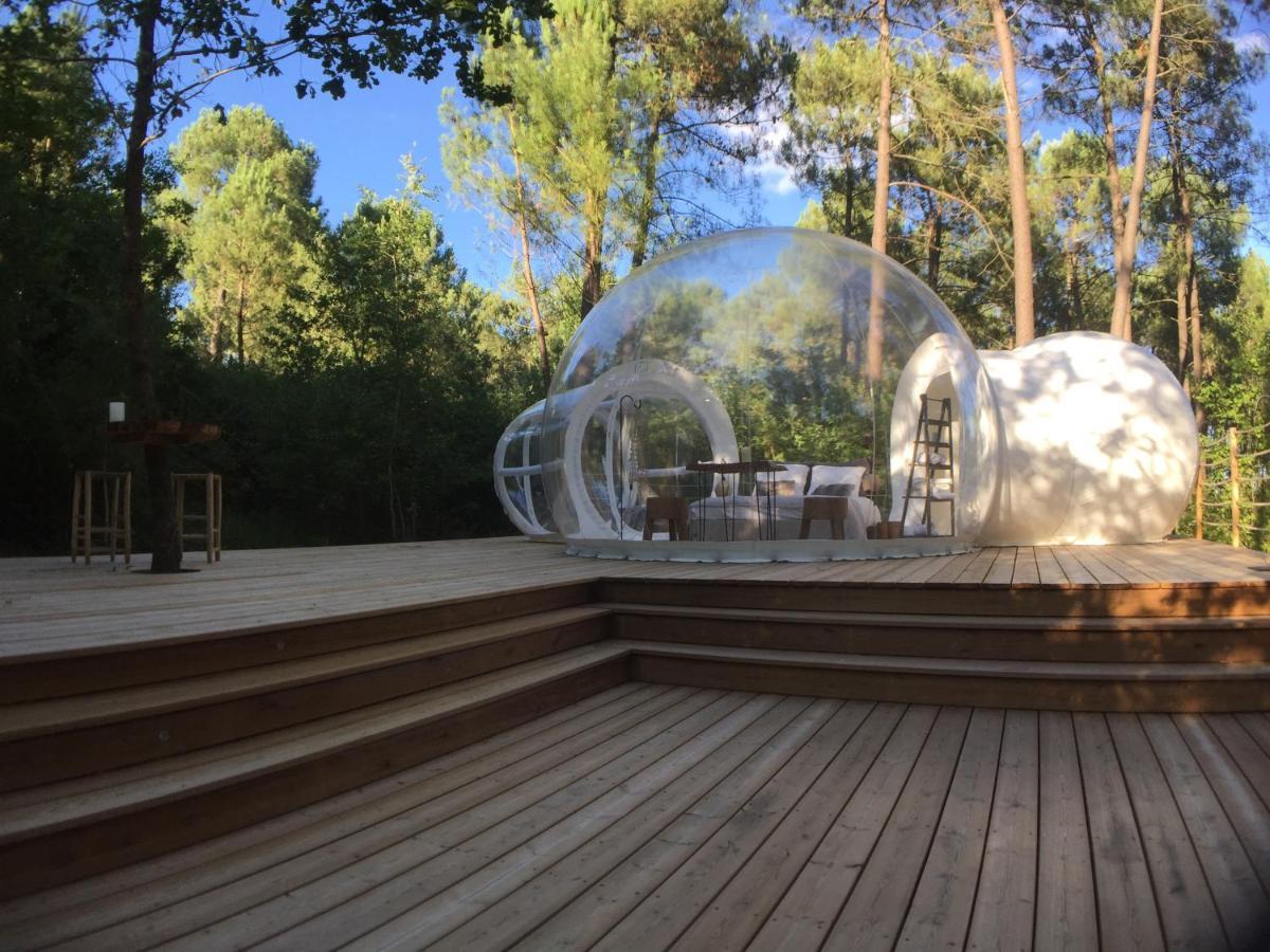 Les Bulles De Bordeaux Bed and Breakfast Salleboeuf Eksteriør billede