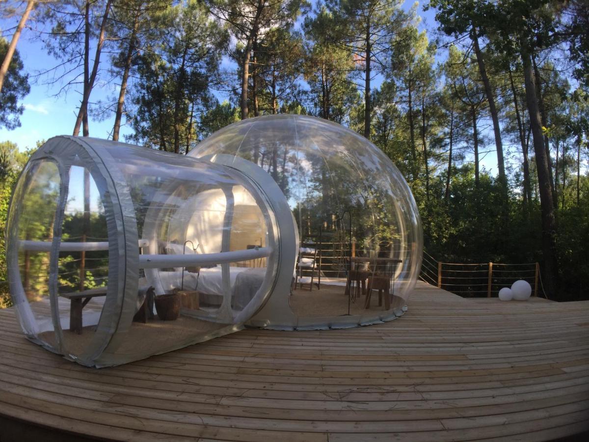 Les Bulles De Bordeaux Bed and Breakfast Salleboeuf Eksteriør billede