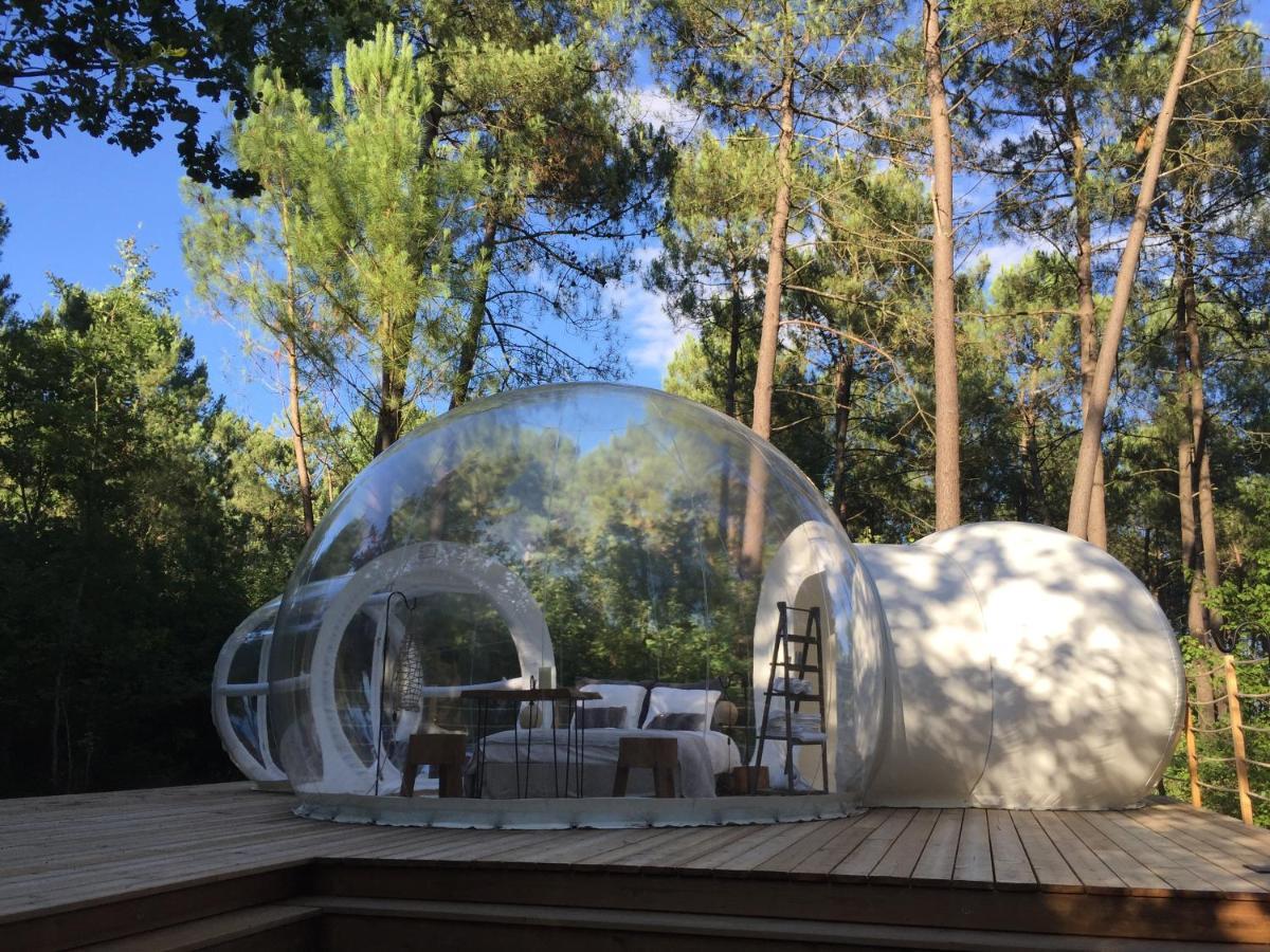 Les Bulles De Bordeaux Bed and Breakfast Salleboeuf Eksteriør billede