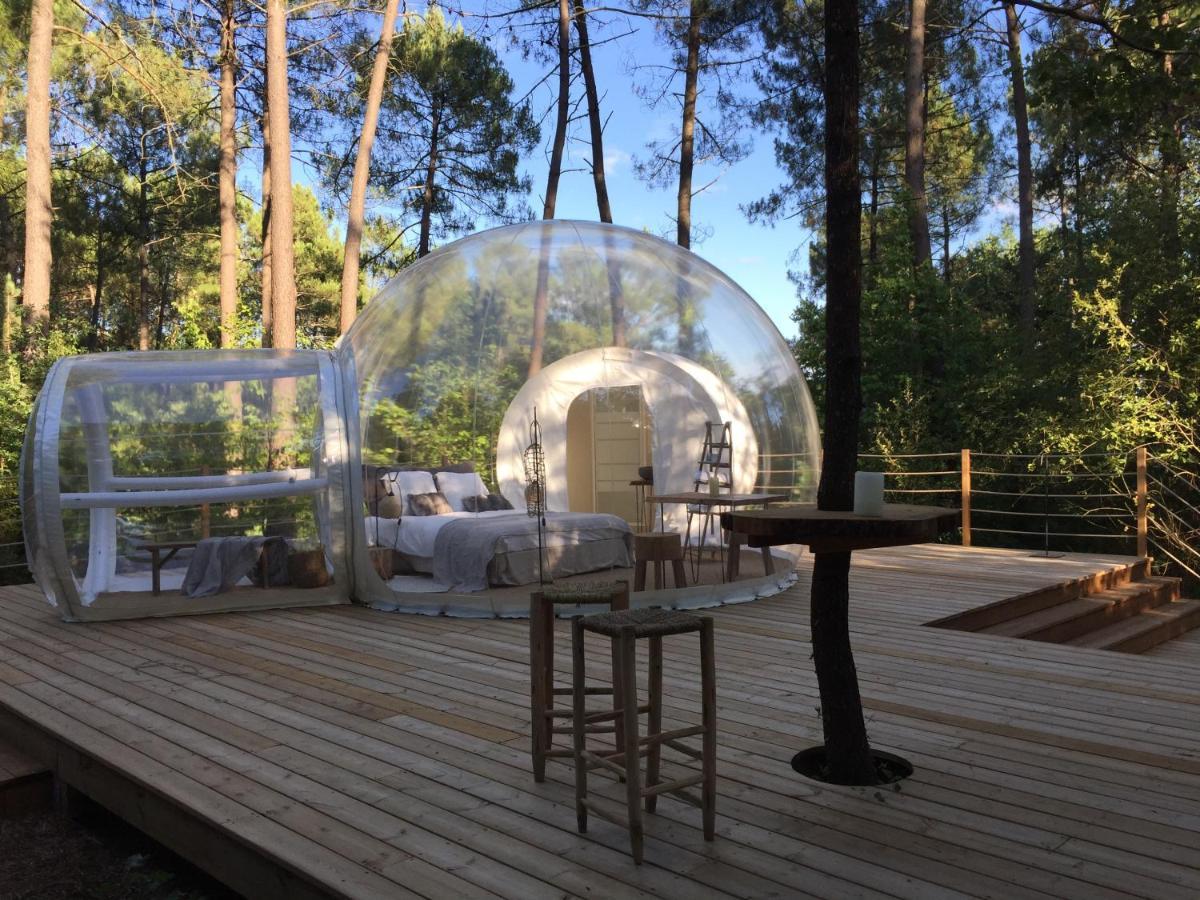 Les Bulles De Bordeaux Bed and Breakfast Salleboeuf Eksteriør billede