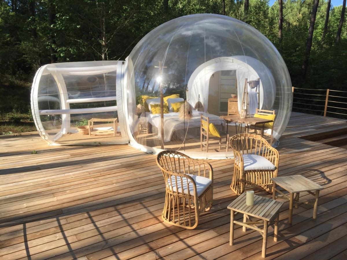 Les Bulles De Bordeaux Bed and Breakfast Salleboeuf Eksteriør billede
