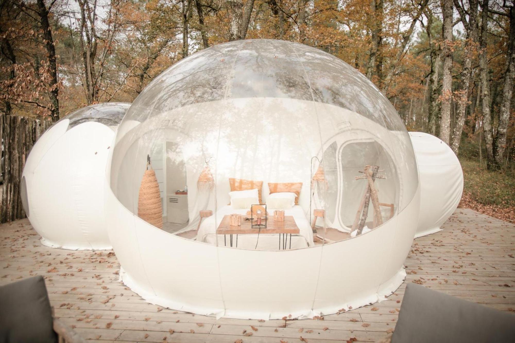 Les Bulles De Bordeaux Bed and Breakfast Salleboeuf Eksteriør billede